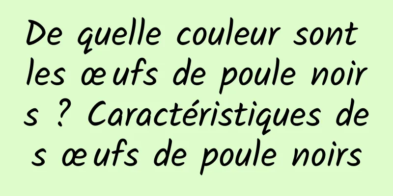 De quelle couleur sont les œufs de poule noirs ? Caractéristiques des œufs de poule noirs