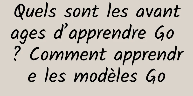 Quels sont les avantages d’apprendre Go ? Comment apprendre les modèles Go