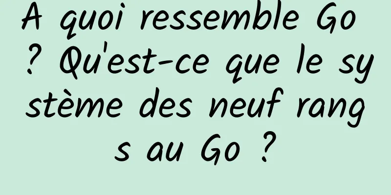 À quoi ressemble Go ? Qu'est-ce que le système des neuf rangs au Go ?