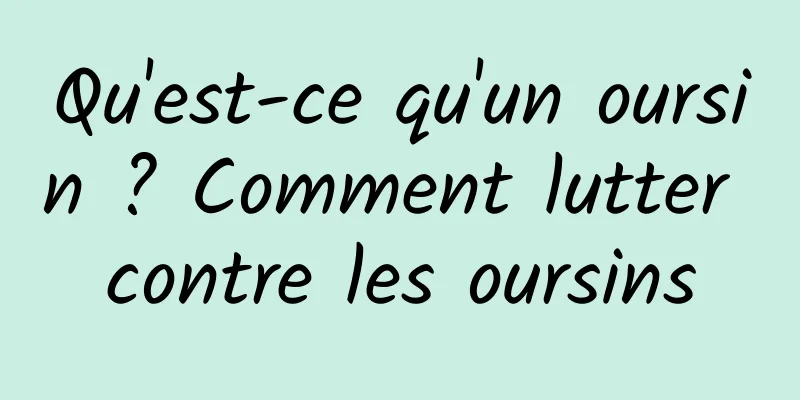 Qu'est-ce qu'un oursin ? Comment lutter contre les oursins