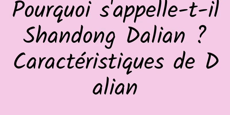 Pourquoi s'appelle-t-il Shandong Dalian ? Caractéristiques de Dalian