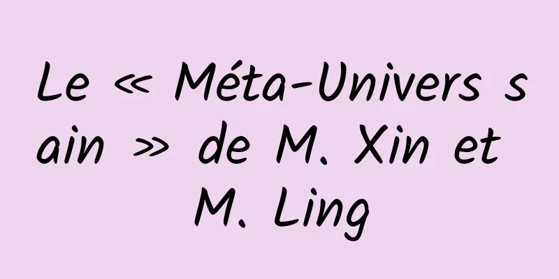 Le « Méta-Univers sain » de M. Xin et M. Ling