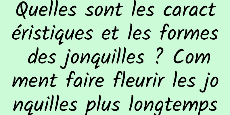 Quelles sont les caractéristiques et les formes des jonquilles ? Comment faire fleurir les jonquilles plus longtemps