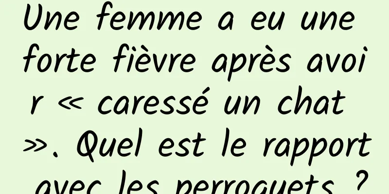 Une femme a eu une forte fièvre après avoir « caressé un chat ». Quel est le rapport avec les perroquets ?