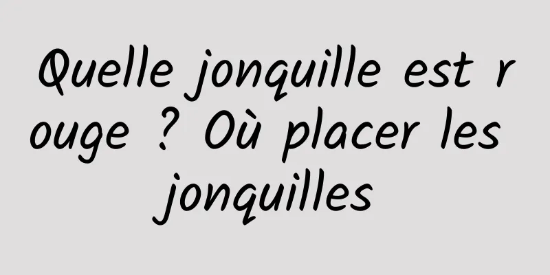 Quelle jonquille est rouge ? Où placer les jonquilles