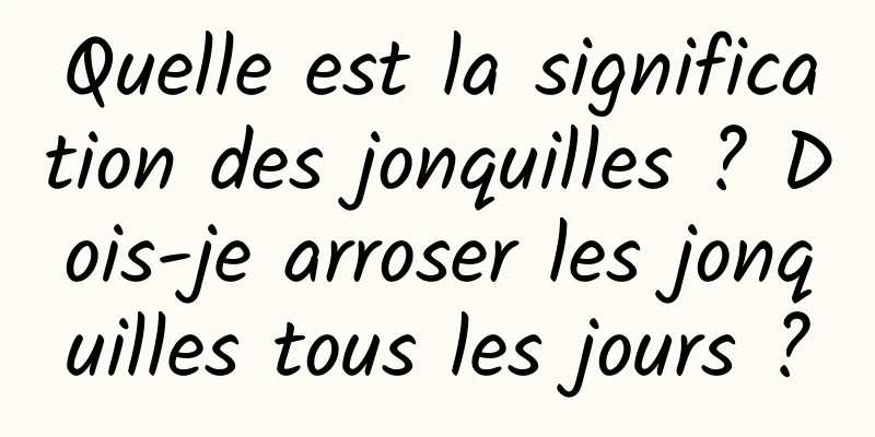 Quelle est la signification des jonquilles ? Dois-je arroser les jonquilles tous les jours ?