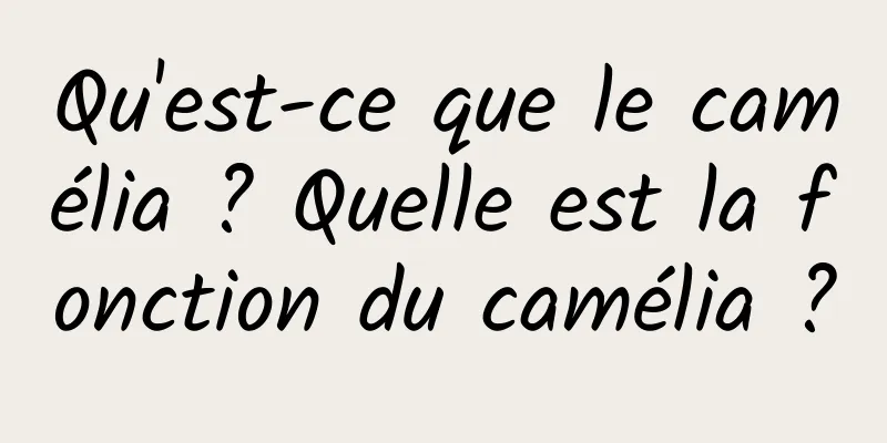 Qu'est-ce que le camélia ? Quelle est la fonction du camélia ?