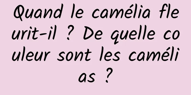 Quand le camélia fleurit-il ? De quelle couleur sont les camélias ?