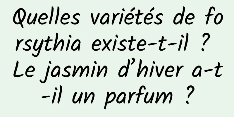 Quelles variétés de forsythia existe-t-il ? Le jasmin d’hiver a-t-il un parfum ?