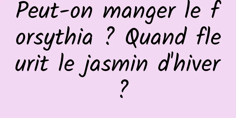 Peut-on manger le forsythia ? Quand fleurit le jasmin d'hiver ?