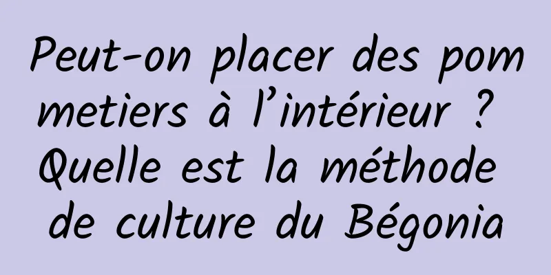 Peut-on placer des pommetiers à l’intérieur ? Quelle est la méthode de culture du Bégonia