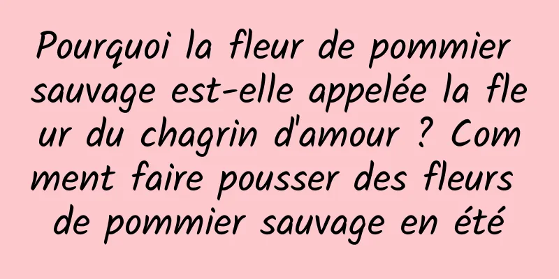 Pourquoi la fleur de pommier sauvage est-elle appelée la fleur du chagrin d'amour ? Comment faire pousser des fleurs de pommier sauvage en été