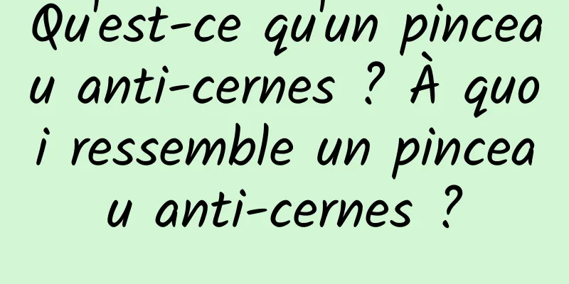 Qu'est-ce qu'un pinceau anti-cernes ? À quoi ressemble un pinceau anti-cernes ?