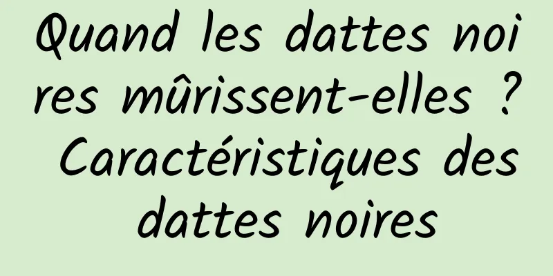 Quand les dattes noires mûrissent-elles ? Caractéristiques des dattes noires