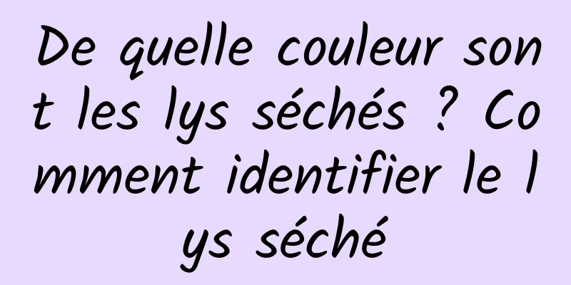 De quelle couleur sont les lys séchés ? Comment identifier le lys séché