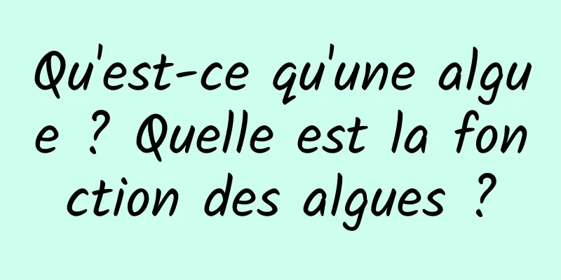 Qu'est-ce qu'une algue ? Quelle est la fonction des algues ?