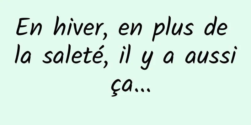 En hiver, en plus de la saleté, il y a aussi ça...