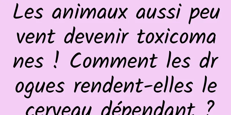 Les animaux aussi peuvent devenir toxicomanes ! Comment les drogues rendent-elles le cerveau dépendant ?