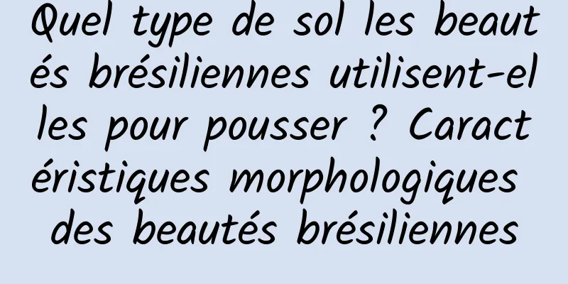 Quel type de sol les beautés brésiliennes utilisent-elles pour pousser ? Caractéristiques morphologiques des beautés brésiliennes