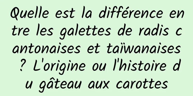 Quelle est la différence entre les galettes de radis cantonaises et taïwanaises ? L'origine ou l'histoire du gâteau aux carottes