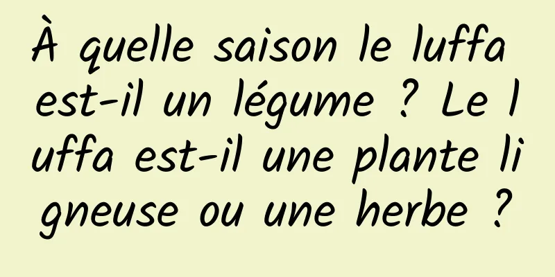À quelle saison le luffa est-il un légume ? Le luffa est-il une plante ligneuse ou une herbe ?