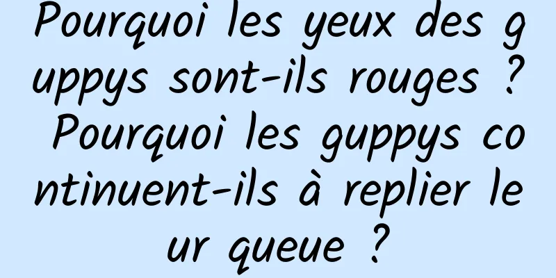 Pourquoi les yeux des guppys sont-ils rouges ? Pourquoi les guppys continuent-ils à replier leur queue ?