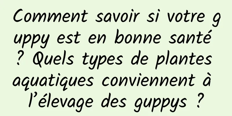 Comment savoir si votre guppy est en bonne santé ? Quels types de plantes aquatiques conviennent à l’élevage des guppys ?