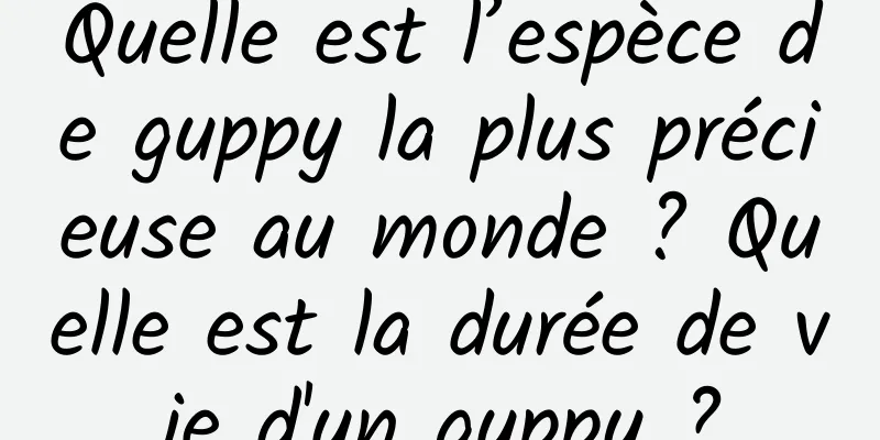 Quelle est l’espèce de guppy la plus précieuse au monde ? Quelle est la durée de vie d'un guppy ?