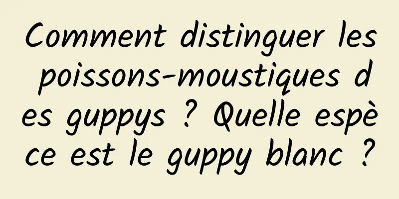 Comment distinguer les poissons-moustiques des guppys ? Quelle espèce est le guppy blanc ?