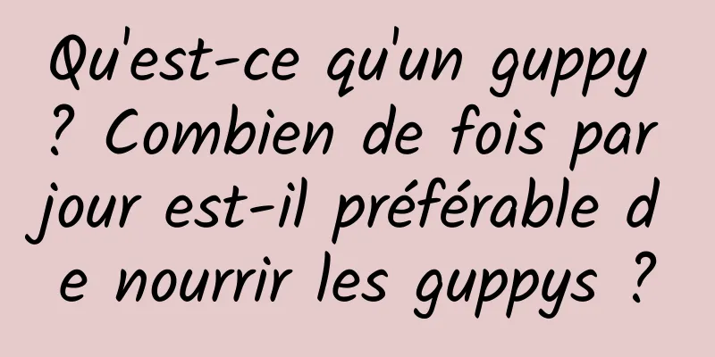 Qu'est-ce qu'un guppy ? Combien de fois par jour est-il préférable de nourrir les guppys ?