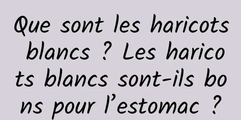 Que sont les haricots blancs ? Les haricots blancs sont-ils bons pour l’estomac ?