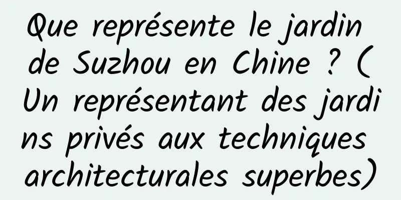 Que représente le jardin de Suzhou en Chine ? (Un représentant des jardins privés aux techniques architecturales superbes)