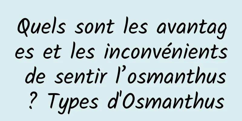 Quels sont les avantages et les inconvénients de sentir l’osmanthus ? Types d'Osmanthus