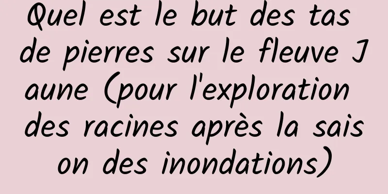 Quel est le but des tas de pierres sur le fleuve Jaune (pour l'exploration des racines après la saison des inondations)