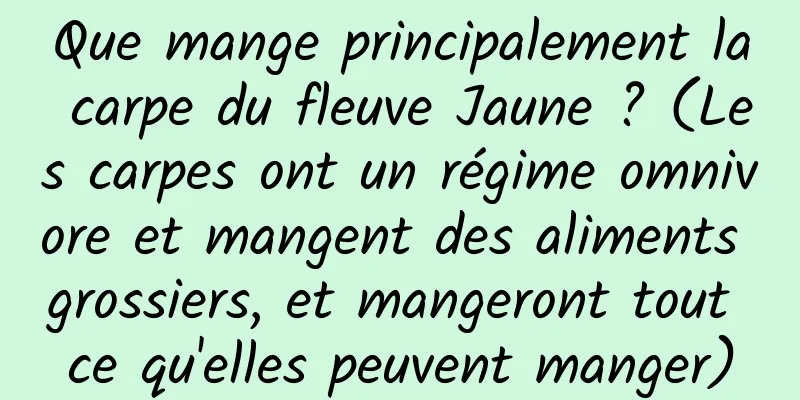 Que mange principalement la carpe du fleuve Jaune ? (Les carpes ont un régime omnivore et mangent des aliments grossiers, et mangeront tout ce qu'elles peuvent manger)