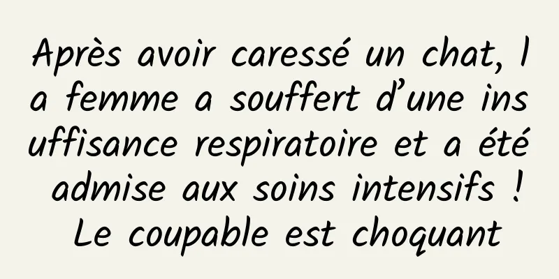Après avoir caressé un chat, la femme a souffert d’une insuffisance respiratoire et a été admise aux soins intensifs ! Le coupable est choquant
