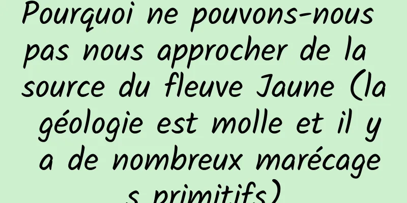 Pourquoi ne pouvons-nous pas nous approcher de la source du fleuve Jaune (la géologie est molle et il y a de nombreux marécages primitifs)
