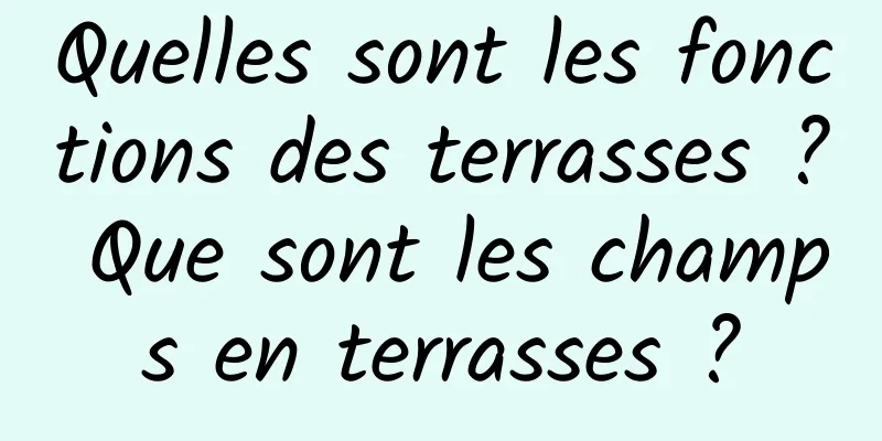 Quelles sont les fonctions des terrasses ? Que sont les champs en terrasses ?