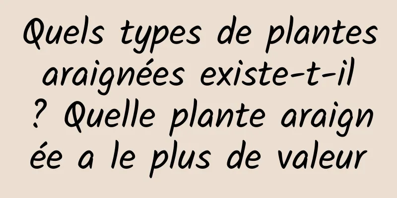 Quels types de plantes araignées existe-t-il ? Quelle plante araignée a le plus de valeur
