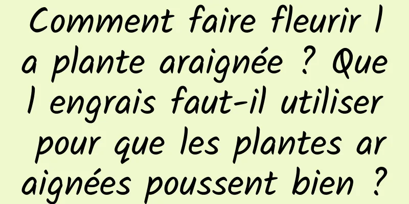 Comment faire fleurir la plante araignée ? Quel engrais faut-il utiliser pour que les plantes araignées poussent bien ?