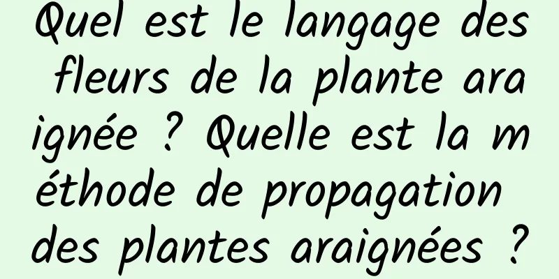 Quel est le langage des fleurs de la plante araignée ? Quelle est la méthode de propagation des plantes araignées ?