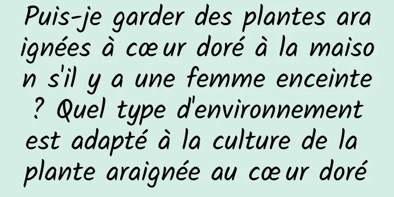 Puis-je garder des plantes araignées à cœur doré à la maison s'il y a une femme enceinte ? Quel type d'environnement est adapté à la culture de la plante araignée au cœur doré