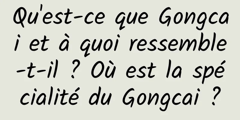 Qu'est-ce que Gongcai et à quoi ressemble-t-il ? Où est la spécialité du Gongcai ?