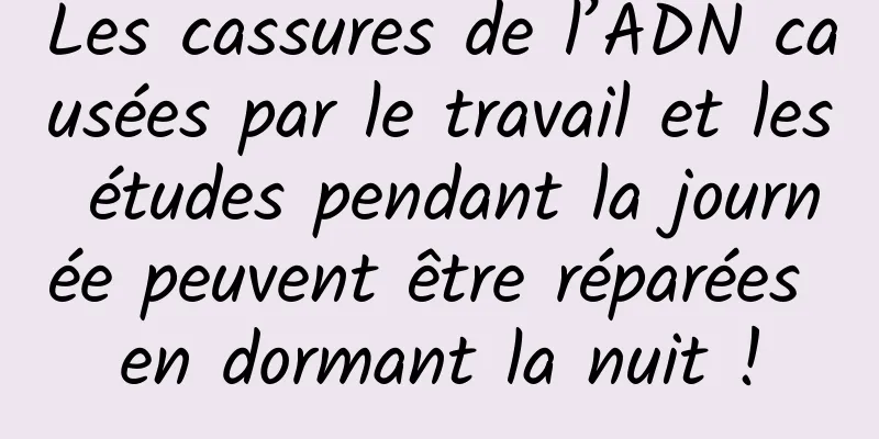 Les cassures de l’ADN causées par le travail et les études pendant la journée peuvent être réparées en dormant la nuit !
