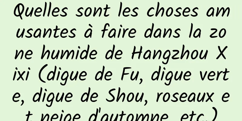 Quelles sont les choses amusantes à faire dans la zone humide de Hangzhou Xixi (digue de Fu, digue verte, digue de Shou, roseaux et neige d'automne, etc.)