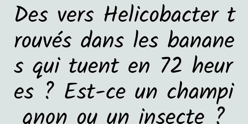 Des vers Helicobacter trouvés dans les bananes qui tuent en 72 heures ? Est-ce un champignon ou un insecte ?