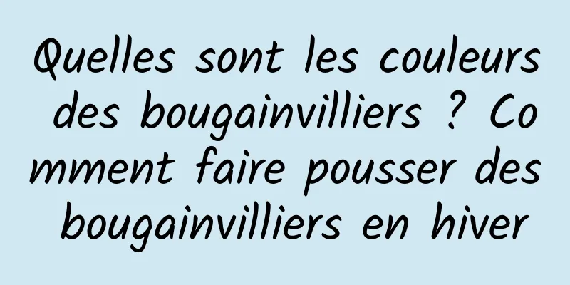 Quelles sont les couleurs des bougainvilliers ? Comment faire pousser des bougainvilliers en hiver