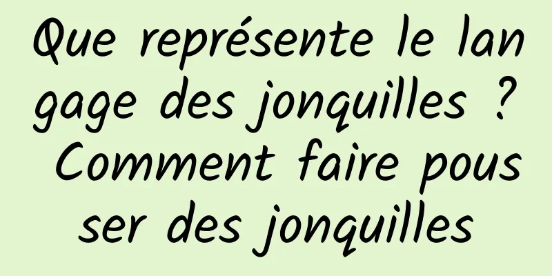 Que représente le langage des jonquilles ? Comment faire pousser des jonquilles