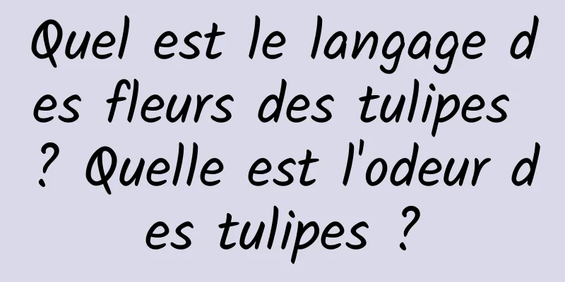Quel est le langage des fleurs des tulipes ? Quelle est l'odeur des tulipes ?