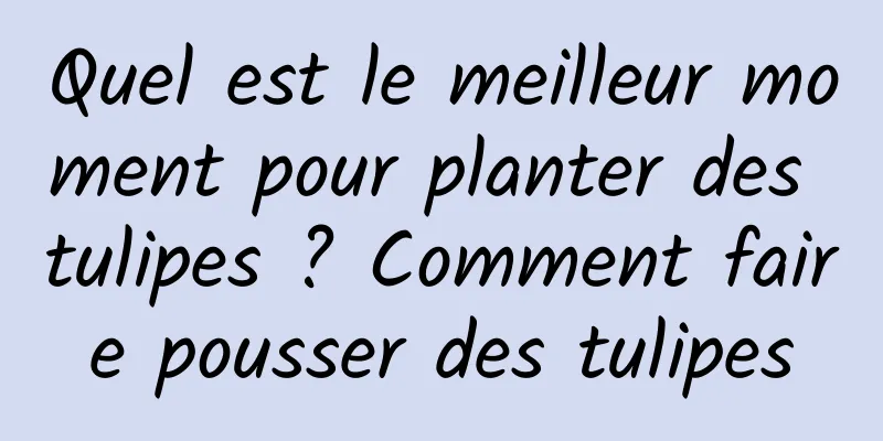 Quel est le meilleur moment pour planter des tulipes ? Comment faire pousser des tulipes